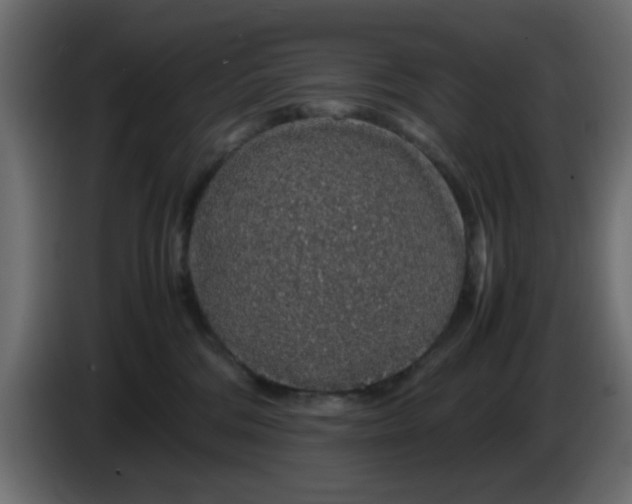 X0000083580330200703021823