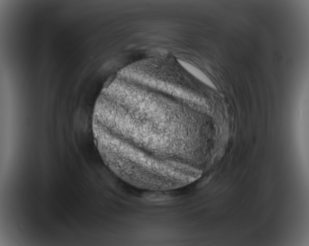 X0000083580331200703021823