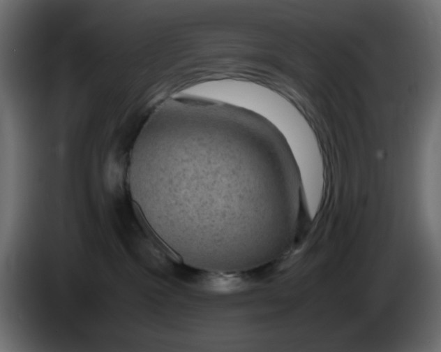 X0000083580333200703021823