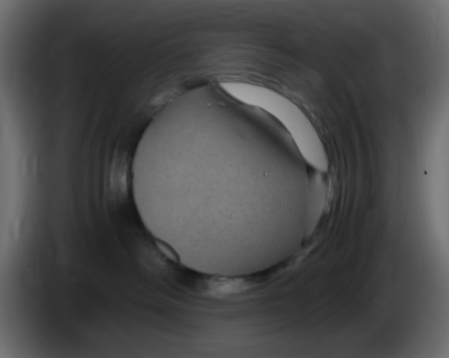 X0000083580334200703021823