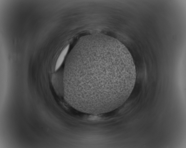 X0000083580335200703021823