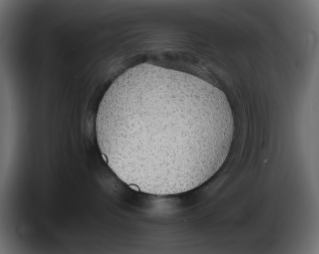 X0000083580336200703021823