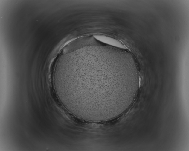 X0000083580339200703021822