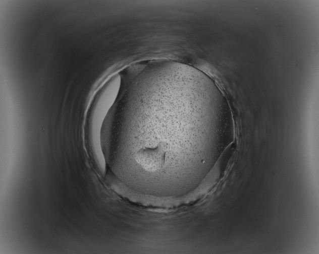 X0000083580340200703021822