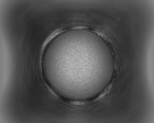 X0000083580341200703021822