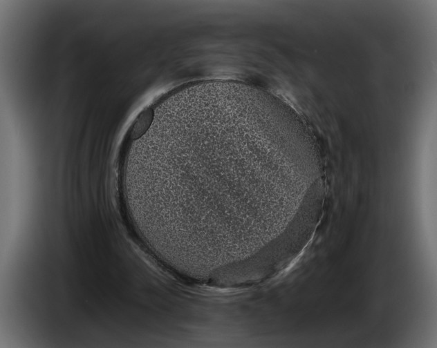 X0000083580342200703021822