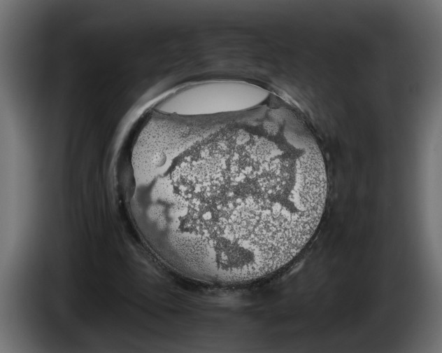 X0000083580343200703021822