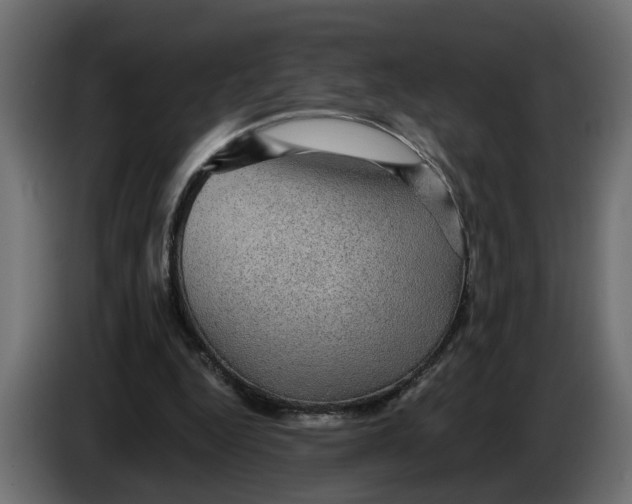 X0000083580344200703021822