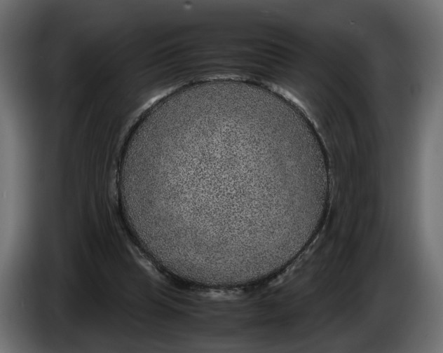 X0000083580345200703021822