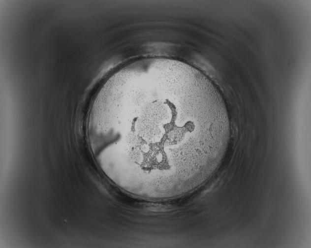 X0000083580347200703021822