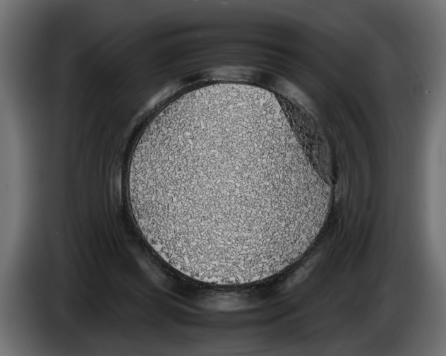 X0000083580349200703021822