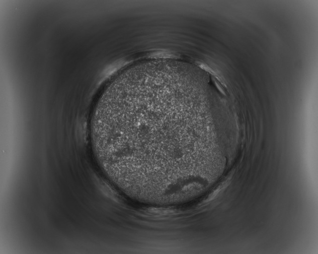 X0000083580351200703021822