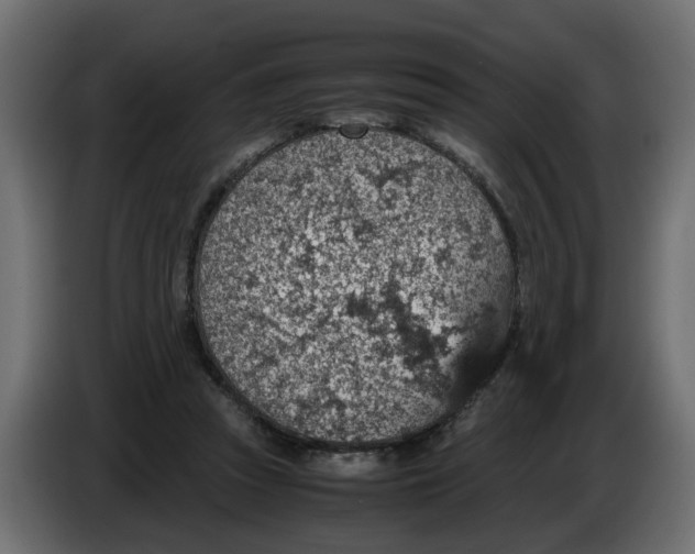 X0000083580353200703021822