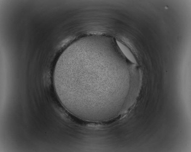 X0000083580354200703021822