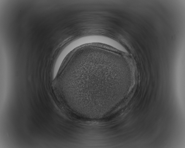 X0000083580356200703021822