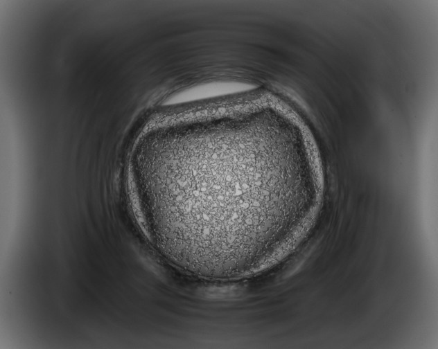 X0000083580357200703021822