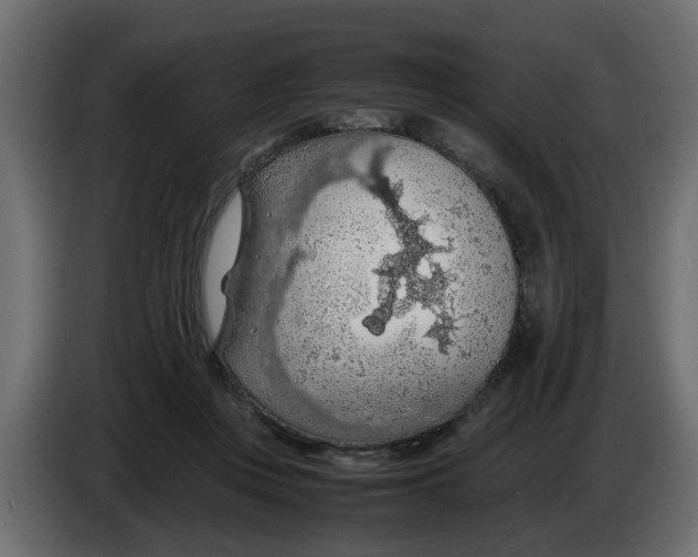 X0000083580359200703021822