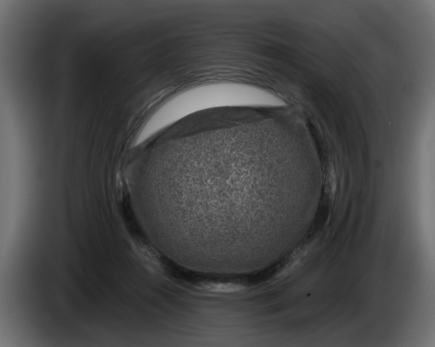 X0000083580360200703021822