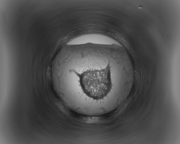 X0000083580361200703021822