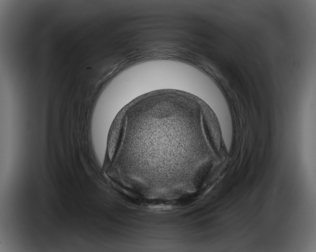 X0000083580362200703021822