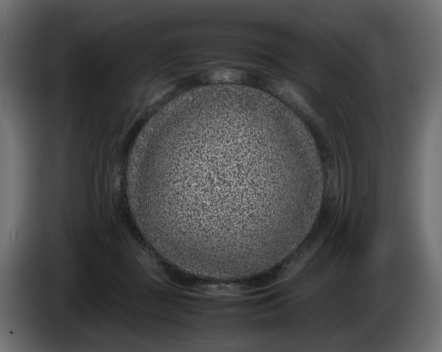 X0000083580363200703021822