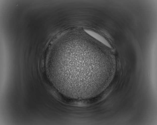 X0000083580365200703021822