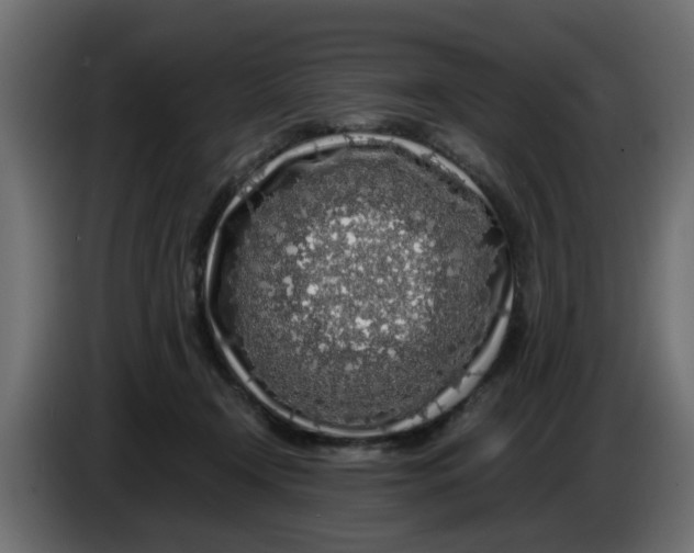 X0000083580366200703021822