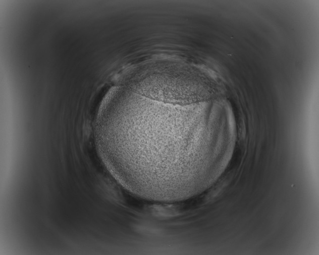 X0000083580367200703021822