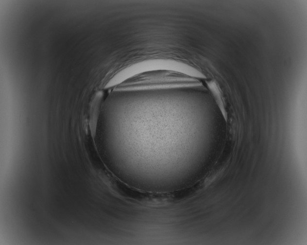 X0000083580368200703021822