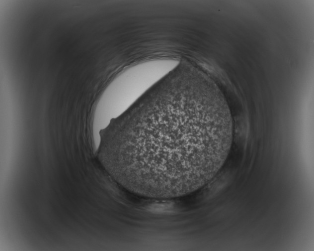 X0000083580369200703021822