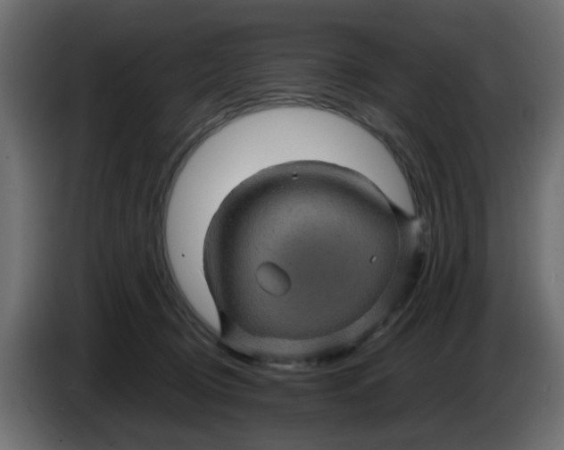 X0000083580370200703021822