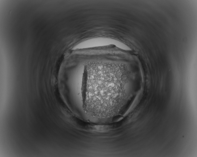 X0000083580371200703021822