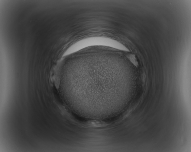 X0000083580372200703021822