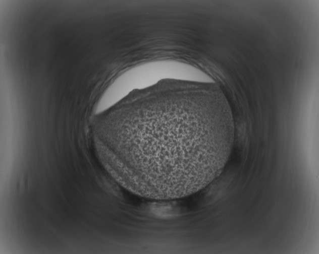 X0000083580373200703021822