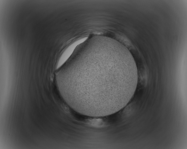 X0000083580374200703021822