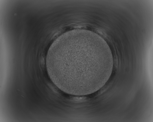 X0000083580375200703021822