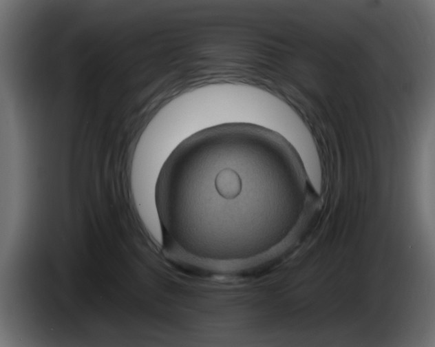 X0000083580376200703021822