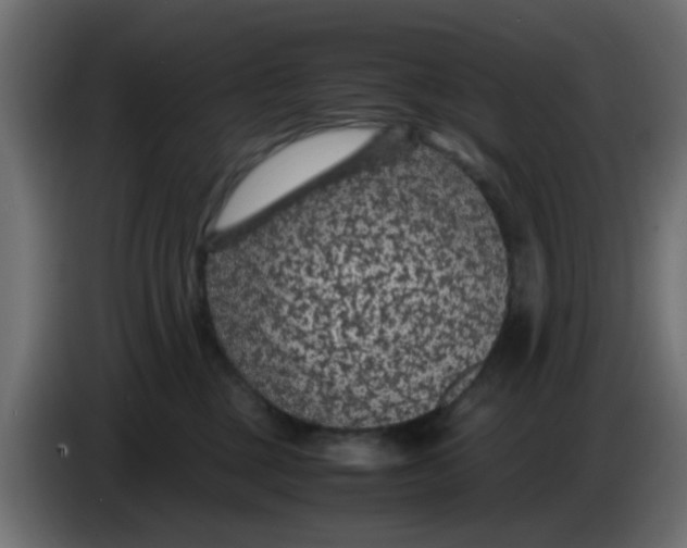 X0000083580377200703021822