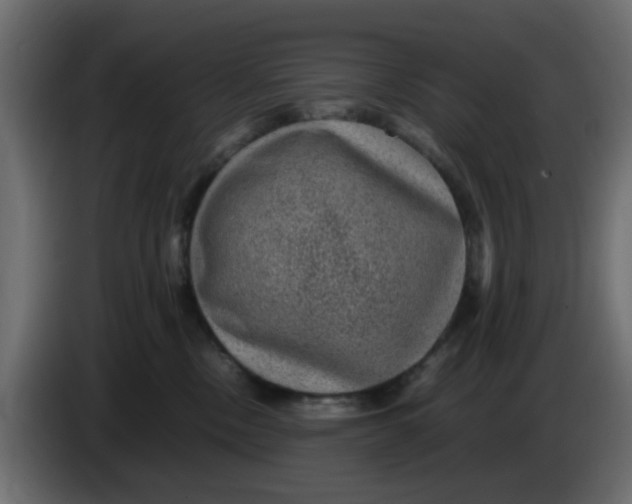 X0000083580378200703021822