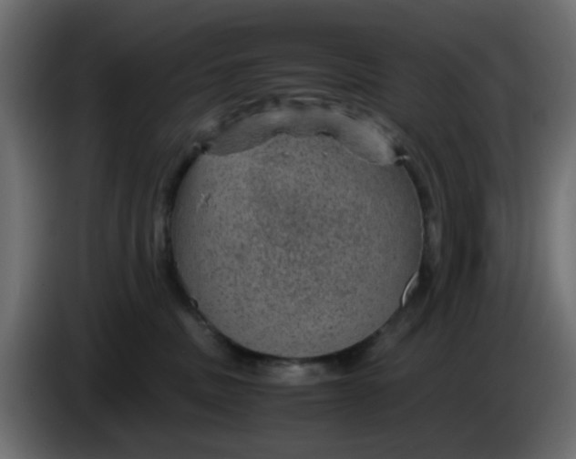 X0000083580379200703021822