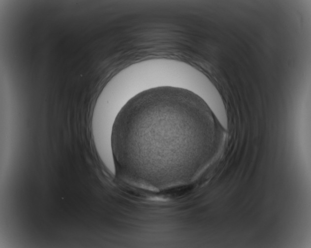 X0000083580380200703021822