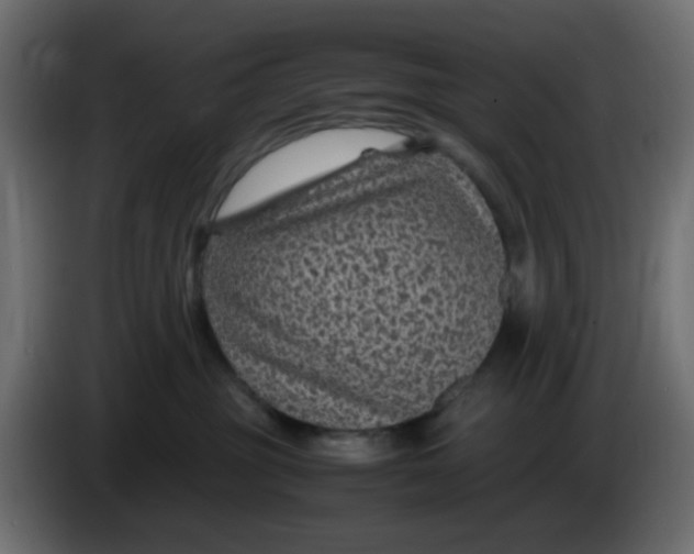 X0000083580381200703021822