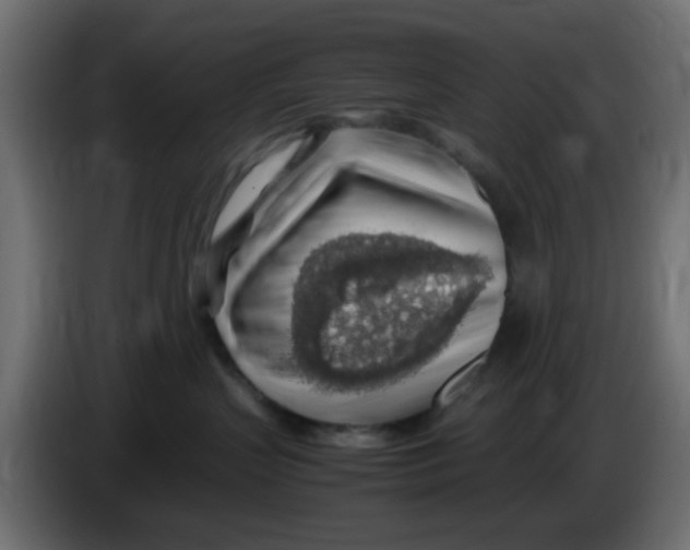 X0000083580383200703021822