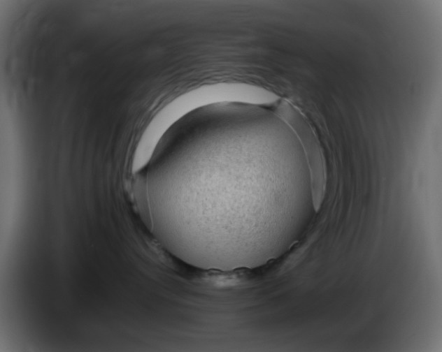 X0000083580384200703021823