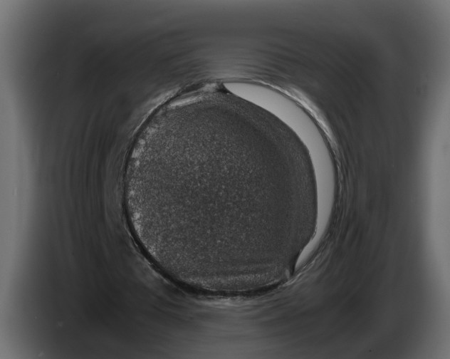 X0000083580385200703021822