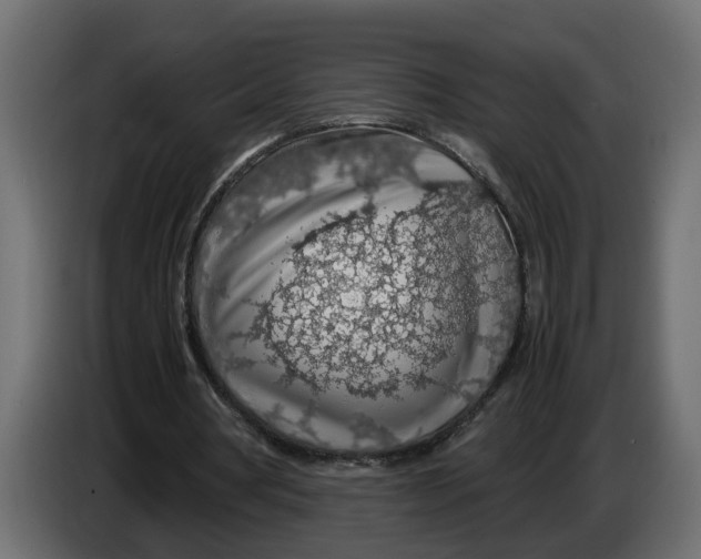 X0000083580386200703021822