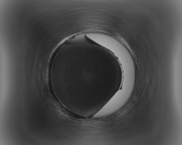 X0000083580387200703021821