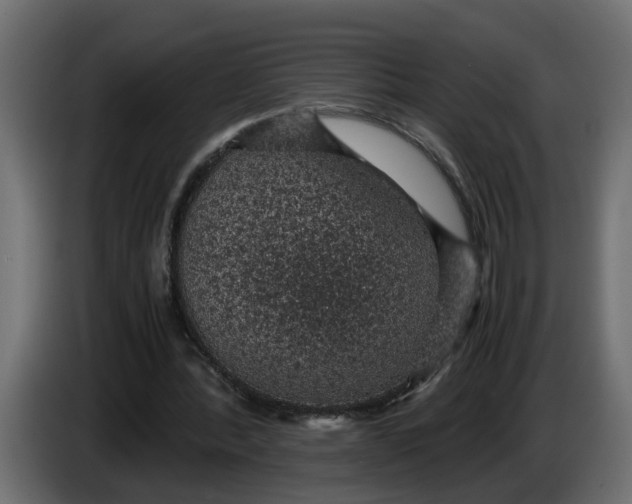 X0000083580388200703021821