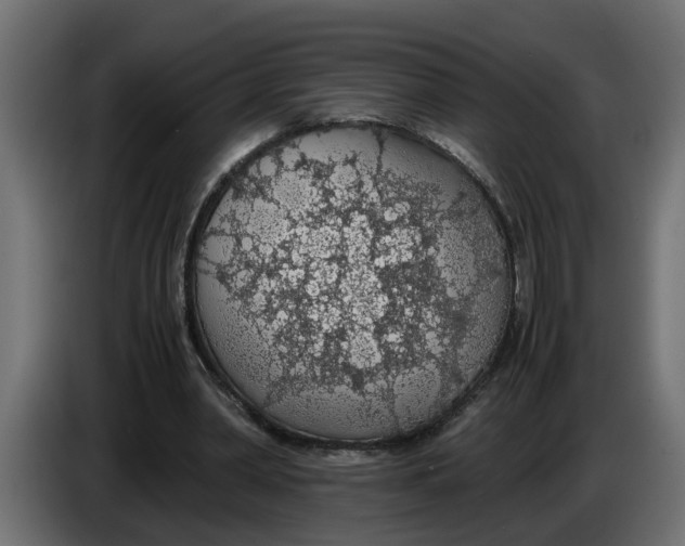 X0000083580390200703021821