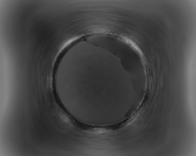 X0000083580391200703021821